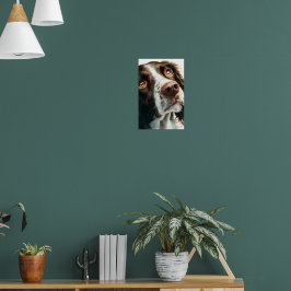 Póster Springer spaniel marrón