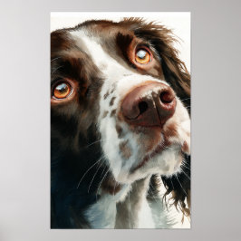 Póster Springer spaniel marrón 