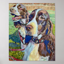Póster Springer Spaniels
