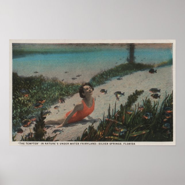 Póster Springs plateados, FL - Mujer nadando bajo el agua (Frente)