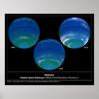 Póster SpringtimeOnNeptune-2003-17a