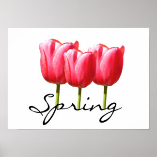 Póster Springy Tulips
