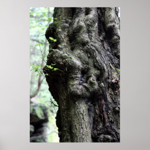 Póster sprite de madera