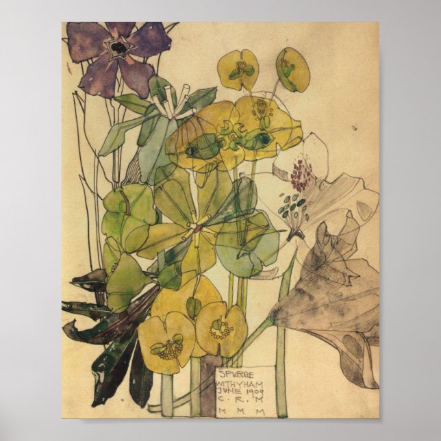 Póster Spurge Con Las Flores De Yham Charles Rennie Macki (Frente)