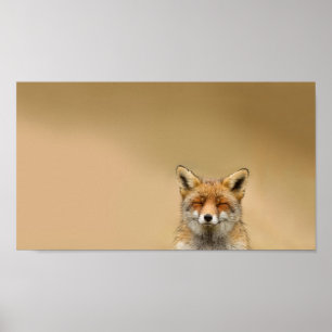 Póster Squinty Eye Fox Poster