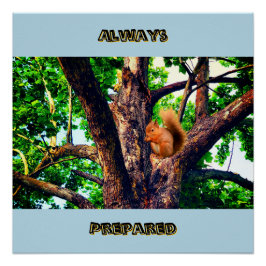 Póster Squirrel Animal