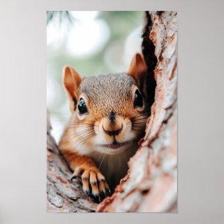 Póster Squirrel Wild Animal Loving Portrait 
