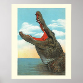 Póster Sr. Alligator