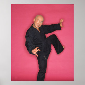 Póster Sr. Banzai Poster