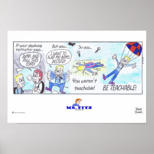 Póster Sr. Fitz: ¡Sea 2 enseñables - Skydiving!