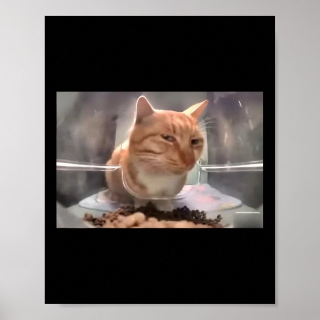 Póster Sr. Gato Fresh Meme Side Eye Cat (Frente)