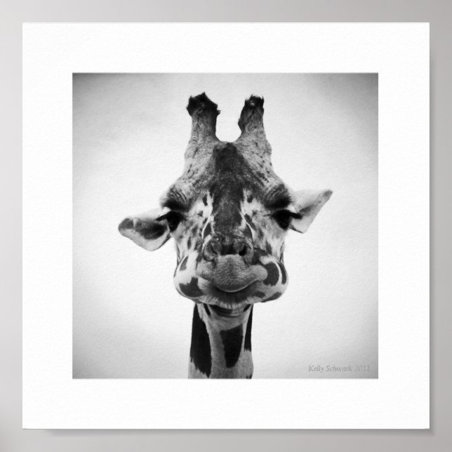 Póster Sr. Graous Giraffe Fotografía en blanco y negro (Frente)