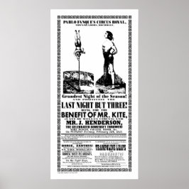 Póster Sr. Kite - Poster