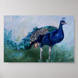 Póster Sr. Peacock Poster