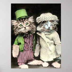Póster Sr. y señora Cat