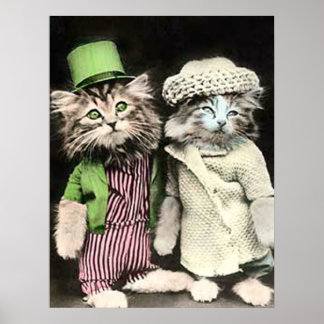Póster Sr. y Sra. Cat