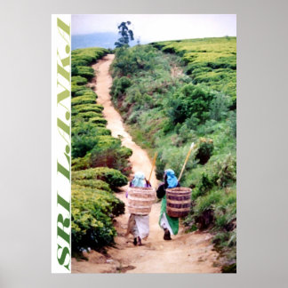 Póster Sri Lanka
