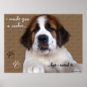 Póster St Bernard Puppy Cookie Poster