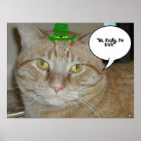 St. Patrick's Day Orange Tabby Cat