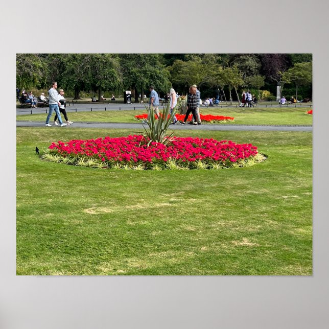 Póster St Stephens Green Dublín Irlanda Europa (Frente)