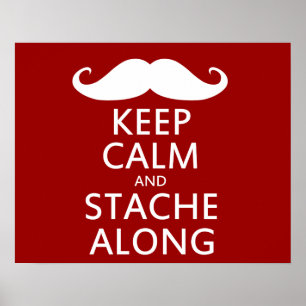 Póster Stache Along