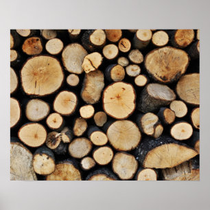 Póster Stack of tree logs