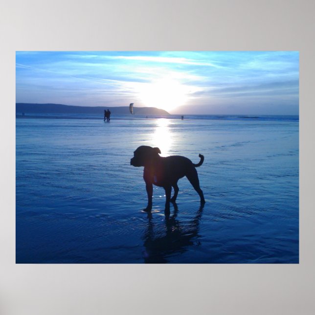 Póster Staffordshire Bull Terrier (Frente)