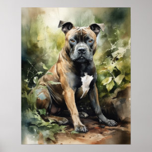 Póster Staffordshire Bull Terrier Dog Art Print Poster