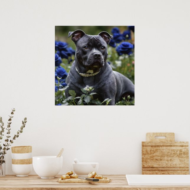 Póster Staffordshire Bull Terrier In Blue Rosa Garden, (Cocina)