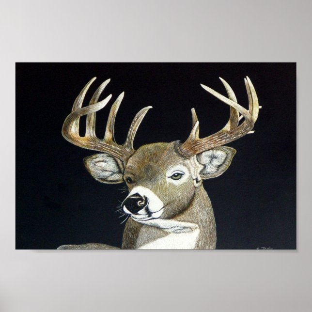 Póster Stag (Frente)