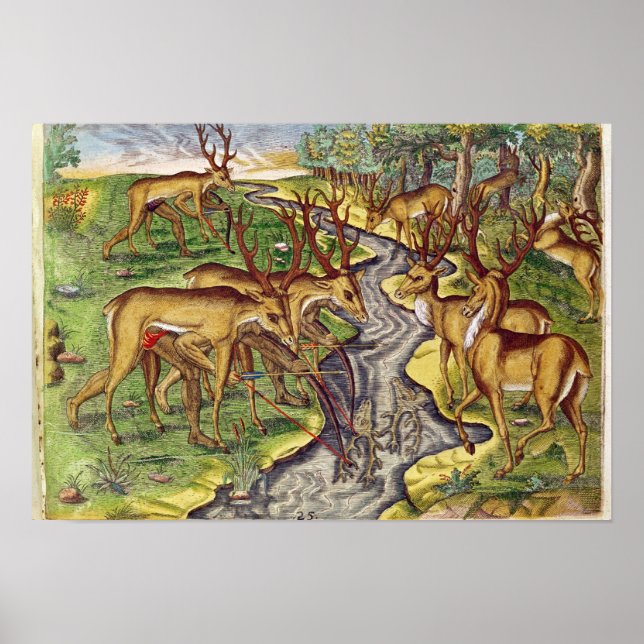 Póster Stag Hunt, de 'Brevis Narratio' (Frente)