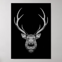 Stag poster