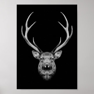 Póster Stag poster