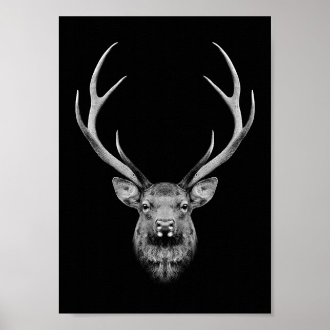 Póster Stag poster (Frente)
