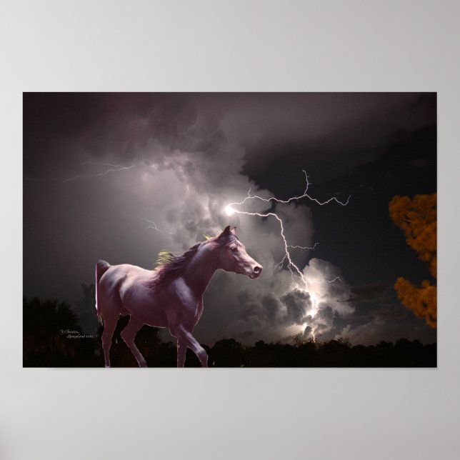 Póster Stallion arabio negro Poster del rayo nocturno (Frente)
