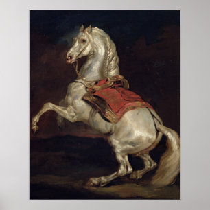Póster Stallion de Napoleón, Tamerlan