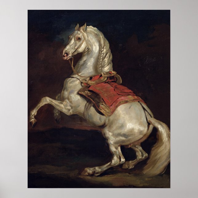 Póster Stallion de Napoleón, Tamerlan (Frente)