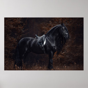 Póster Stallion Friesiano con un elegante vestido deporti