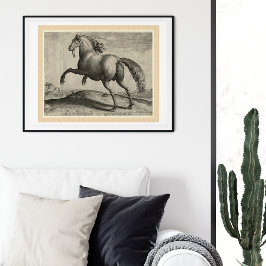 Póster Stallion renacentista Caballo español por Stradanu