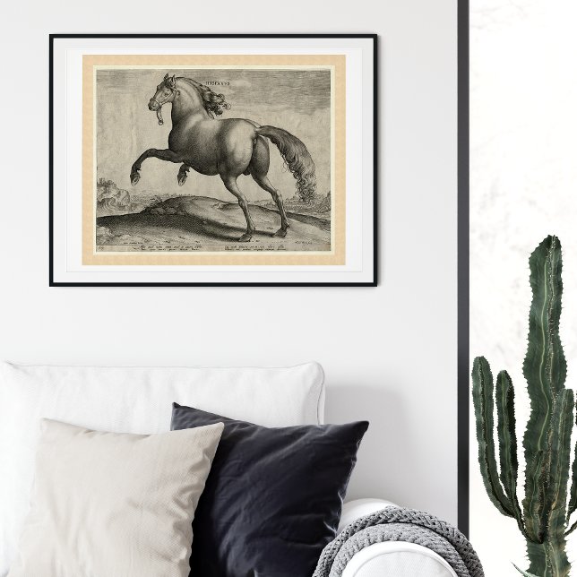 Póster Stallion renacentista Caballo español por Stradanu (Subido por el creador)