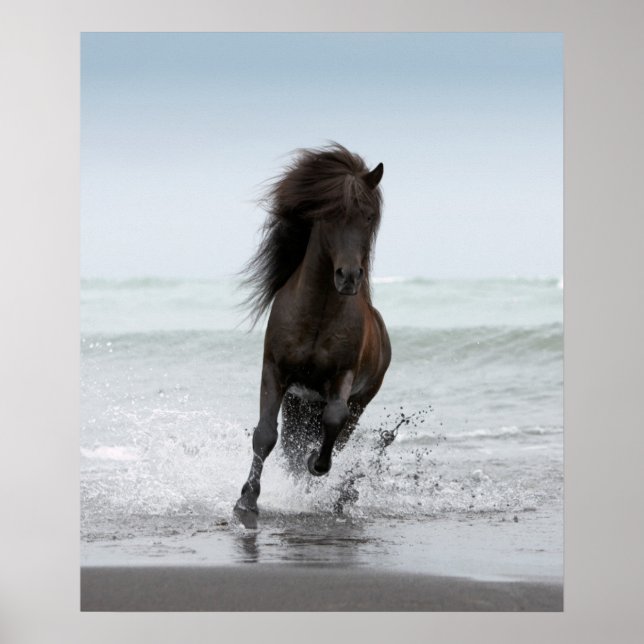 Póster Stallion Running On Beach | Atlántico Norte (Frente)