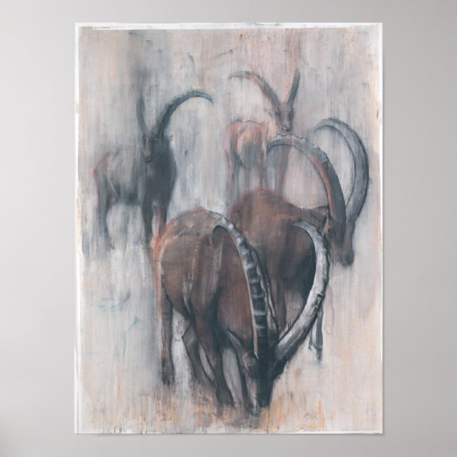 Póster Stambecchi en Estate (Frente)