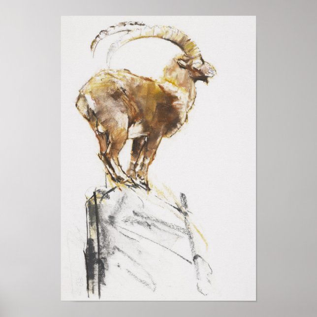 Póster Stambecco d'Oro 2005 (Frente)