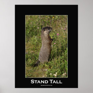 Póster Stand Tall Motivational Poster