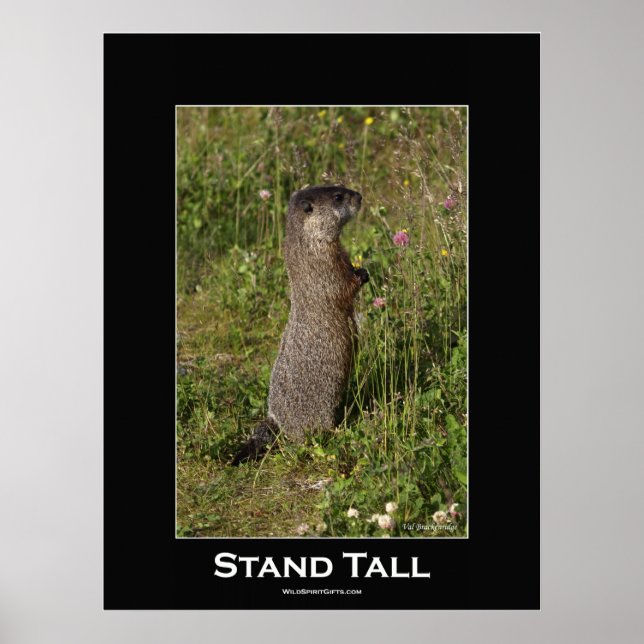 Póster Stand Tall Motivational Poster (Frente)