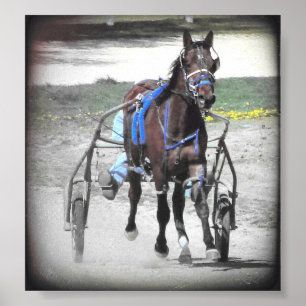 Póster Standardbred
