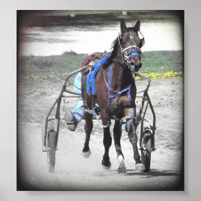 Póster Standardbred (Frente)