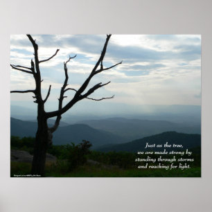 Póster Standing/Reaching Poster