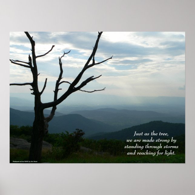 Póster Standing/Reaching Poster (Frente)