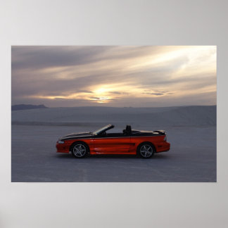 Póster Stang Convertible 1995